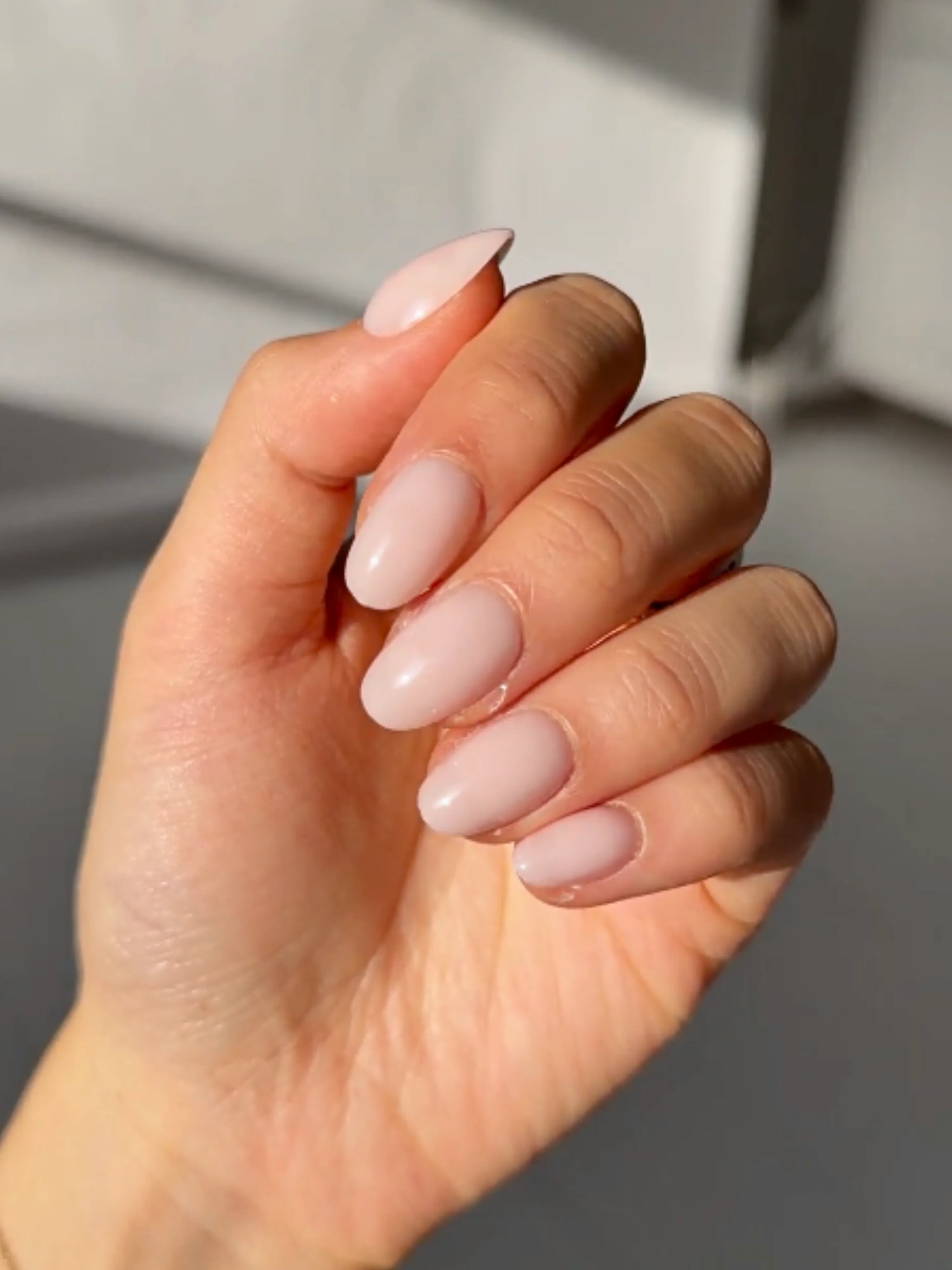 Cotton Candy - Image 5